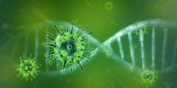 Información y Medidas Coronavirus - Covid-19