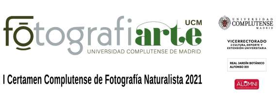 Divulgados los ganadores del concurso FotografiArte