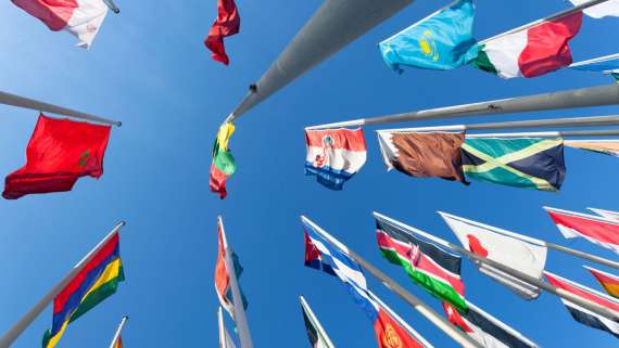 Feria de Empleo en Organizaciones Internacionales. 22 de noviembre de 2025.