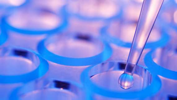 CIEMAT convoca plazas de personal investigador predoctoral en formación.