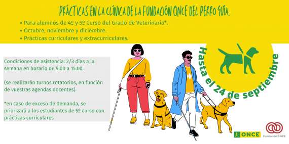 Programa de Ayudas de Movilidad Internacional de la Fundación ONCE para Jóvenes con Discapacidad, para estancias en países europeos cuya lengua oficial sea el inglés, francés o alemán.