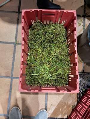 El grupo INPROQUIMA descubre una solución sostenible para eliminar antibióticos del agua hospitalaria