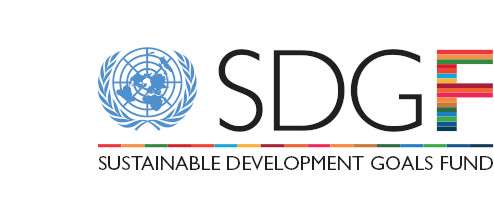 The Sustainable Development Goal Fund (SDGF) has opened a research grants programme for  submissions.