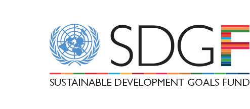 The Sustainable Development Goal Fund (SDGF) has opened a research grants programme for submissions.
