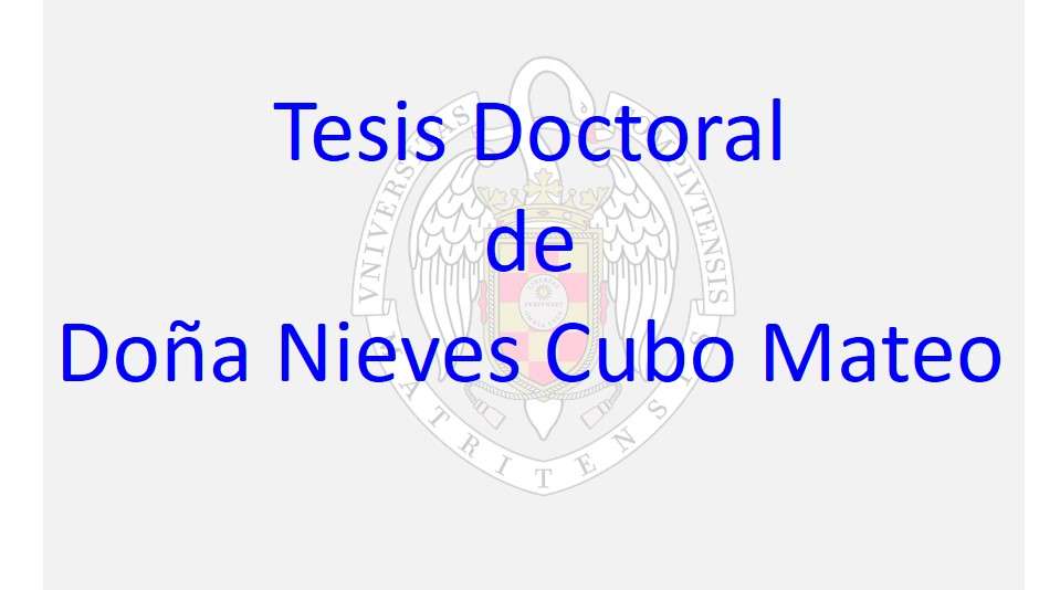 Tesis Doctoral de Doña Nieves Cubo Mateo - 1