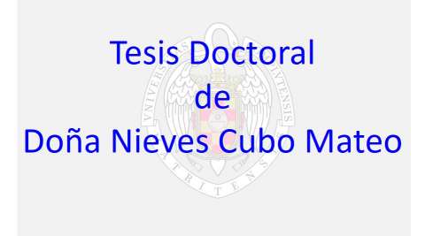 Tesis Doctoral de Doña Nieves Cubo Mateo