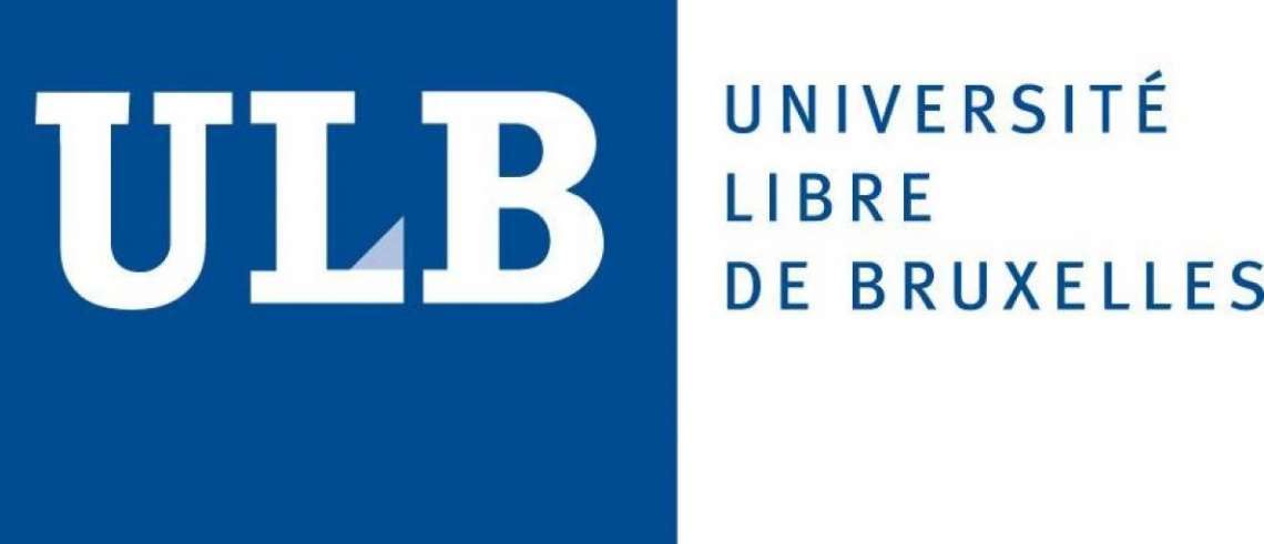 Convocatoria de proyecto de investigación de la Universidad Vrije de Bruselas (VUB) - 1