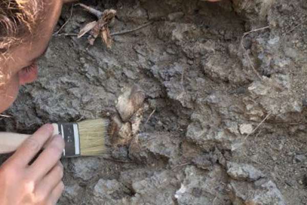 El Dr. José Úbeda Palenque tomó posesión hoy de la plaza de Ayudante Doctor en el Departamento de Geografía de la UCM.