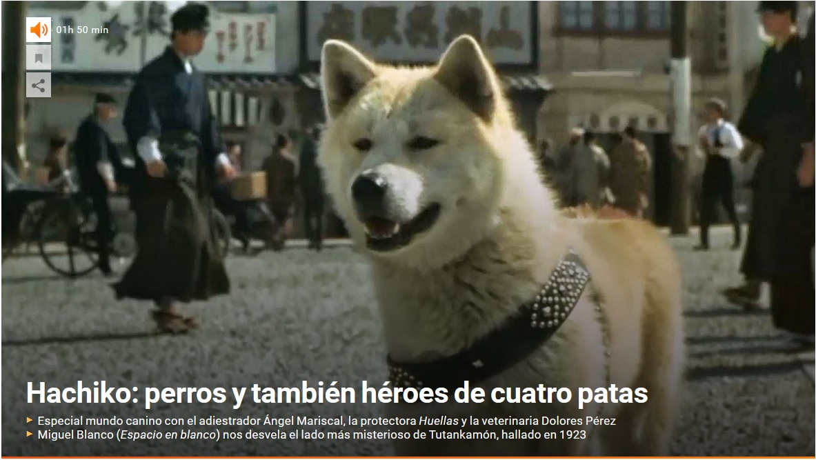 Hachiko