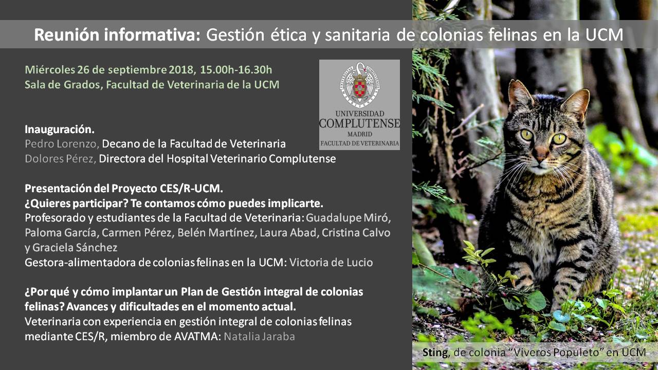 Reunión informativa: Gestión ética y sanitaria de colonias felinas en la UCM