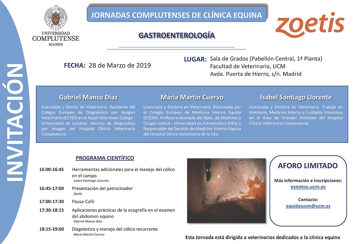 jornadas compolutense clinica equina 2019