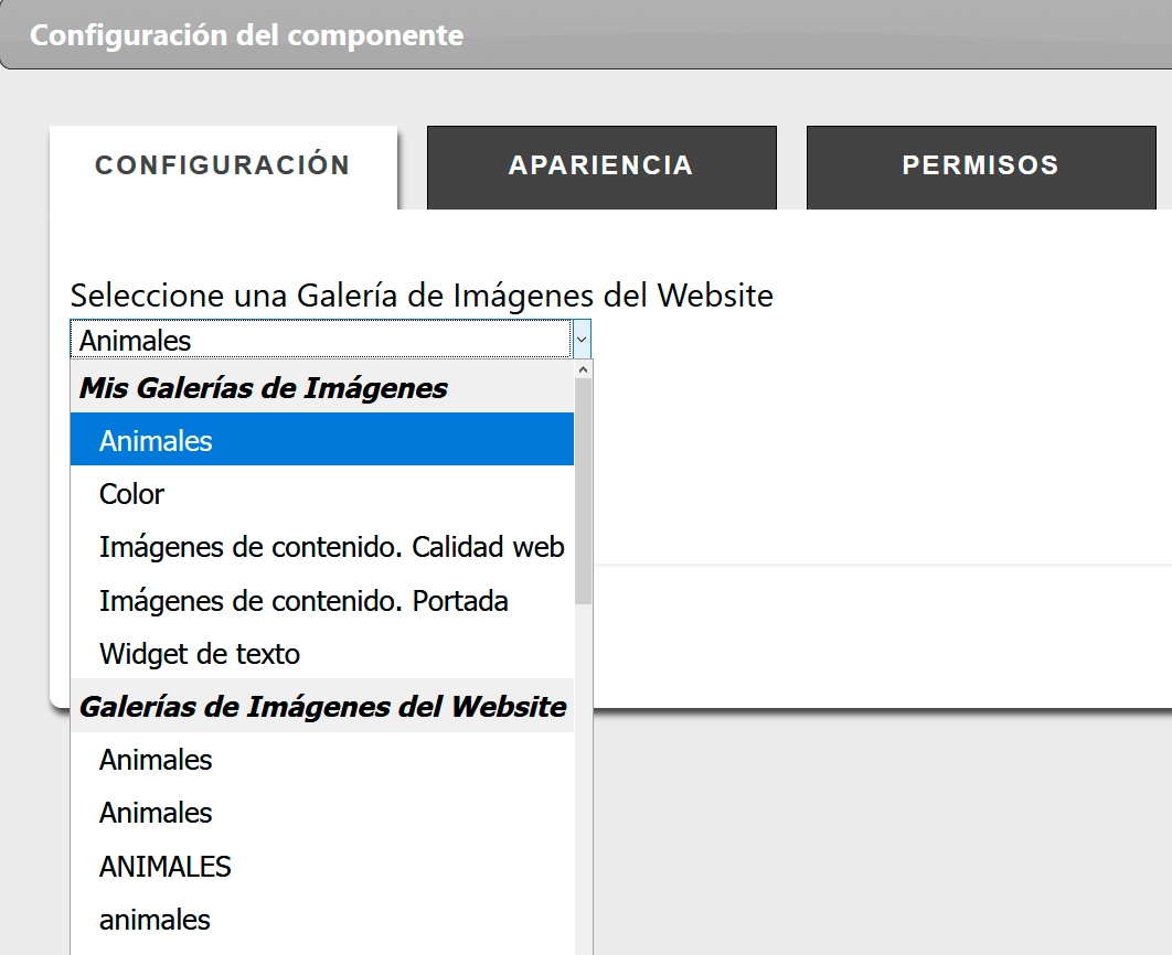 Desplegable Galerías del Website