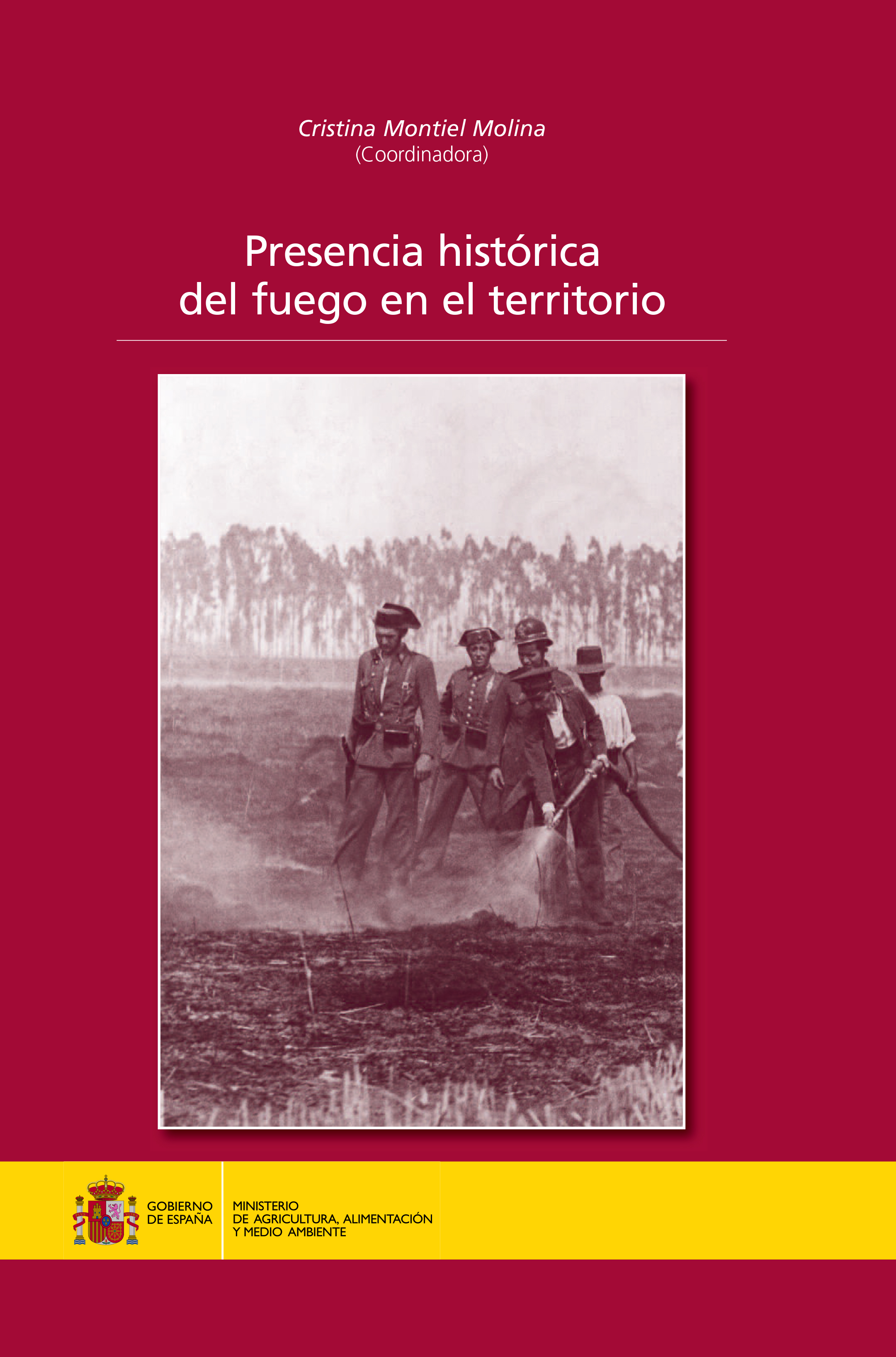 Libro Presencia del fuego en el territorio