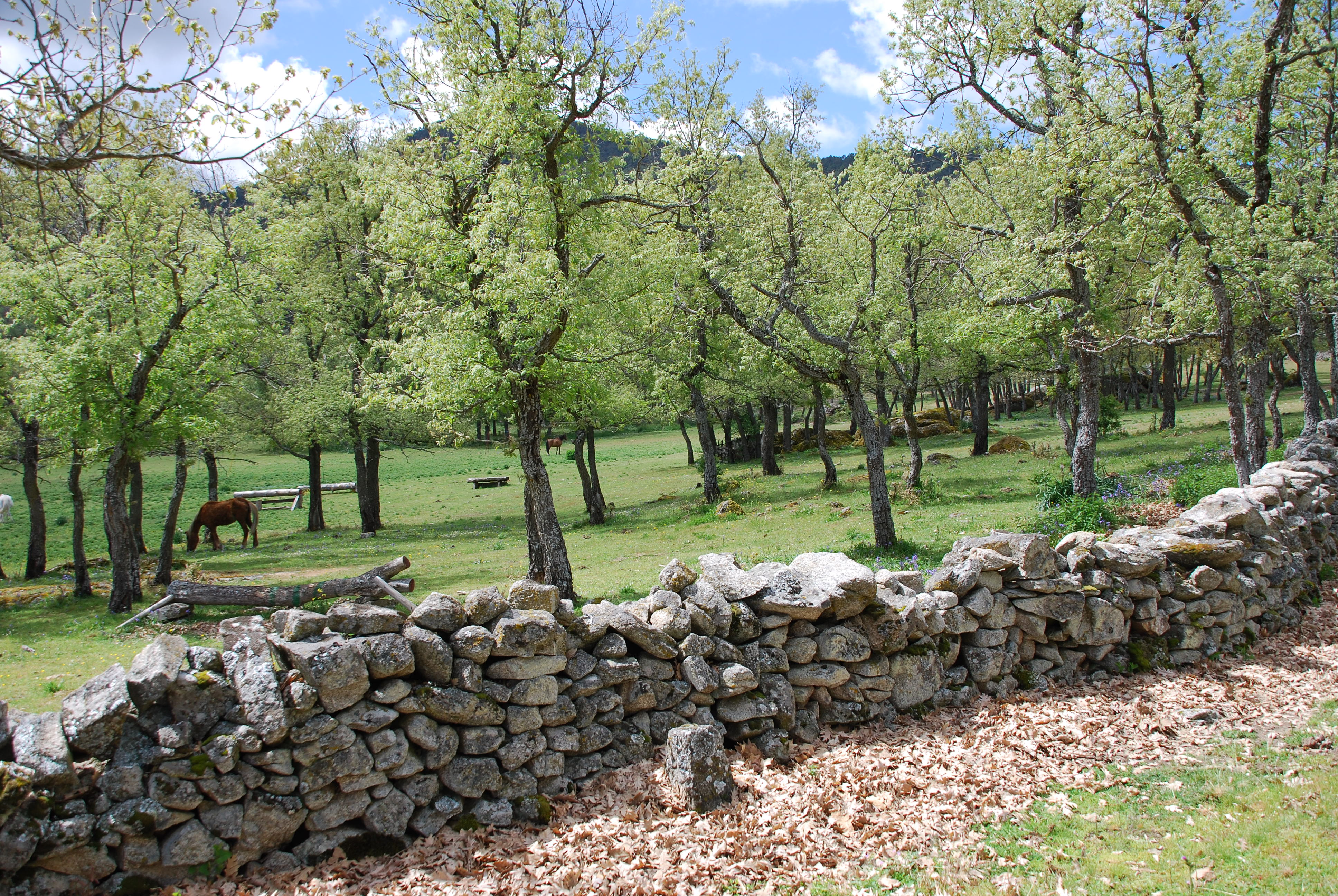 El Espinar, Segovia