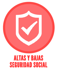 Alta en la Seguridad Social.