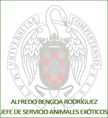 ABENGOA