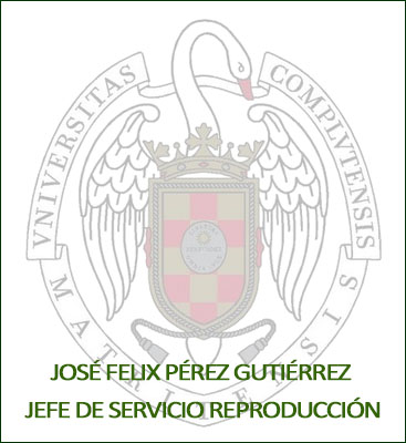 cgarciabotey