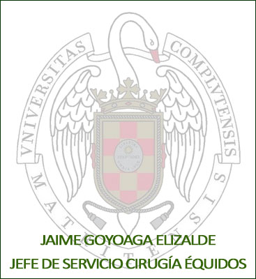 MVARELA