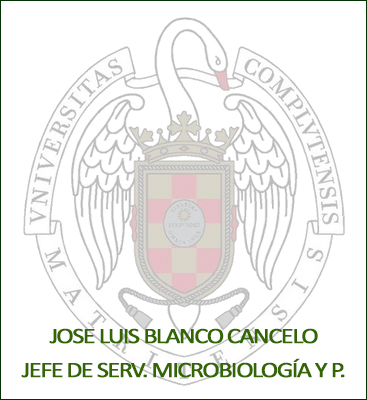 jlblanco
