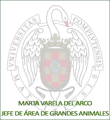 JLOPEZ