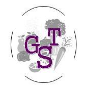 logo-gst