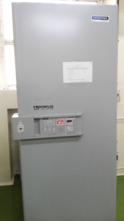 Congelador (-80º) platinum 340 Vplus