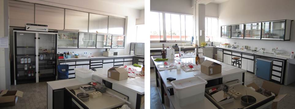 Laboratorio de crecimiento