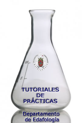 logo tutoriales practicas