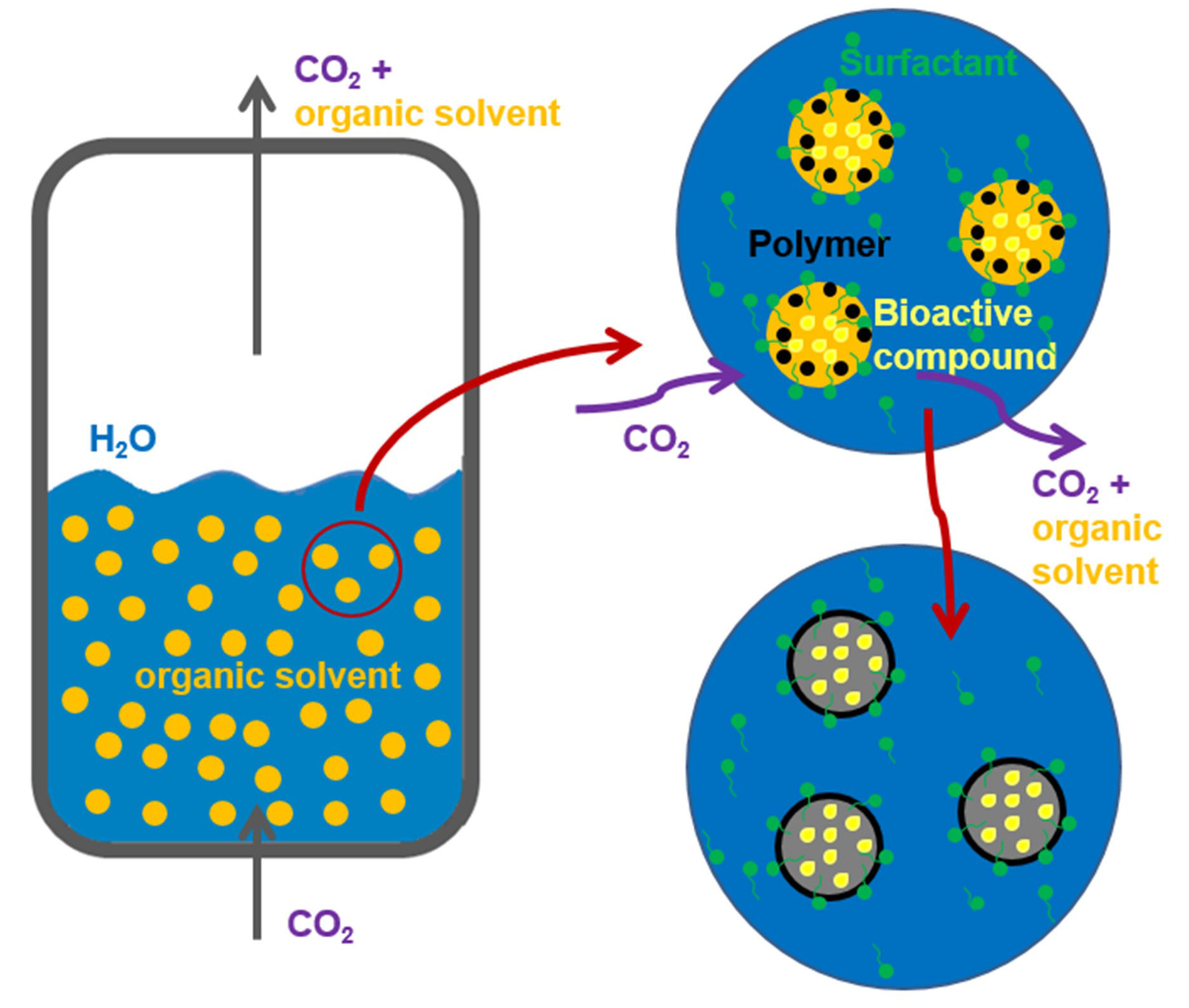 Scheme of the SFEE process