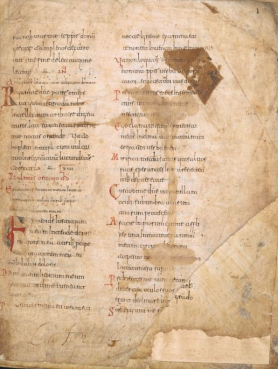 Psalterium