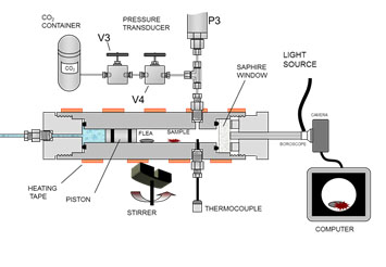 Scheme of the variable view cell