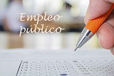 Empleo público