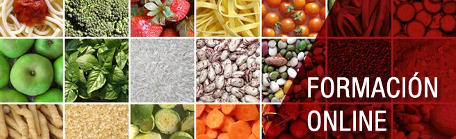 curso experto nutrición