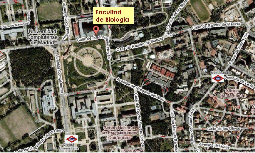 Pincha en el mapa para encontrar la mejor manera de llegar a nuestra facultad desde cualquier lugar, con la ayuda de Google Maps