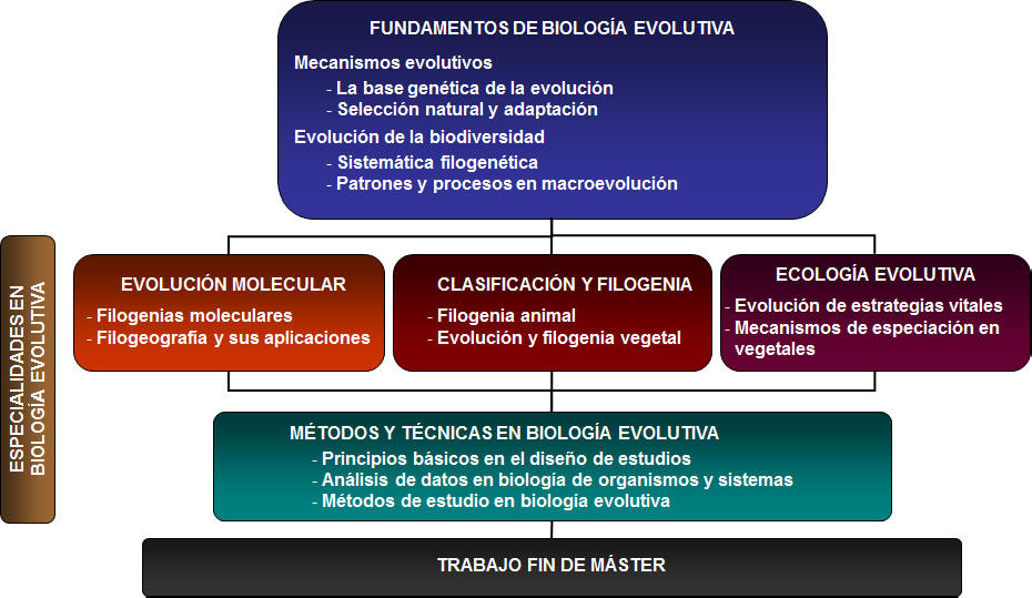 Pincha en la imagen para ver su contenido como texto