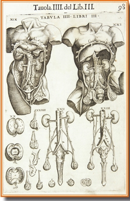 Historia de la Urología Hispánica