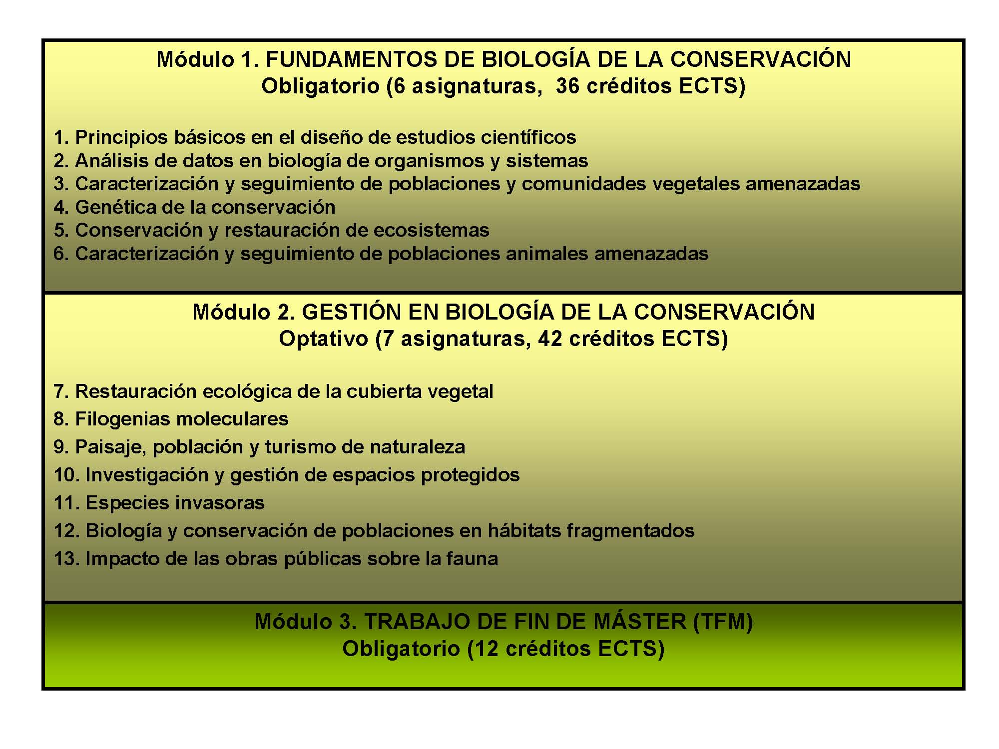 Que son los creditos ects en estudios universitarios