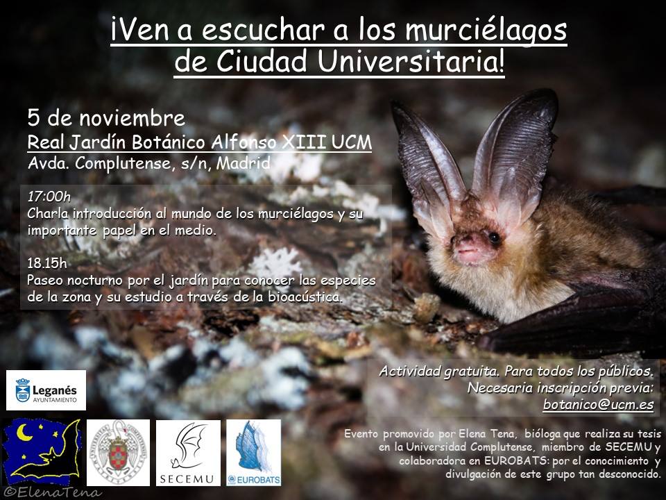 Cartel Semana de la Ciencia Murciélagos