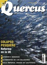 QUECUS