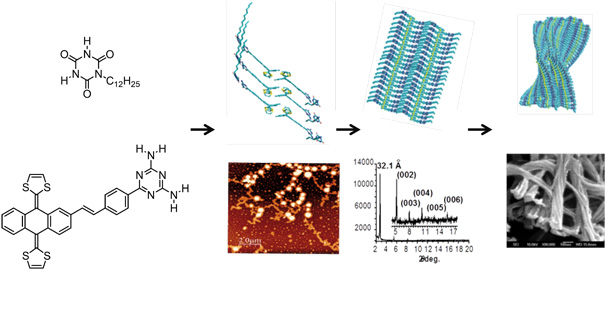 supramolecular