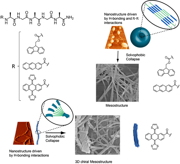 supramolecular