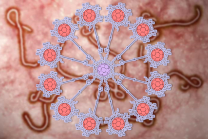 fullerenes