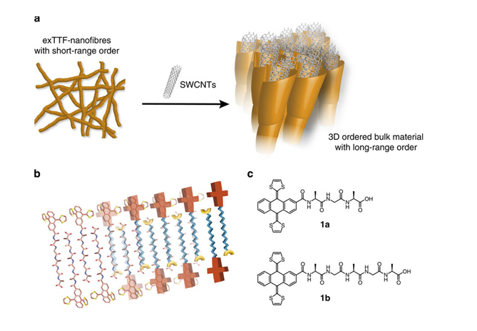 carbon nanotubes