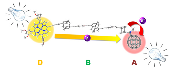 molecular