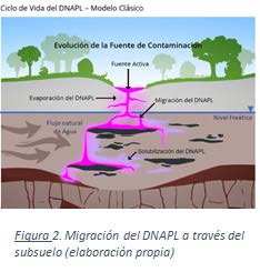 Figura 2. Migración del DNAPL a través del subsuelo (elaboración propia)