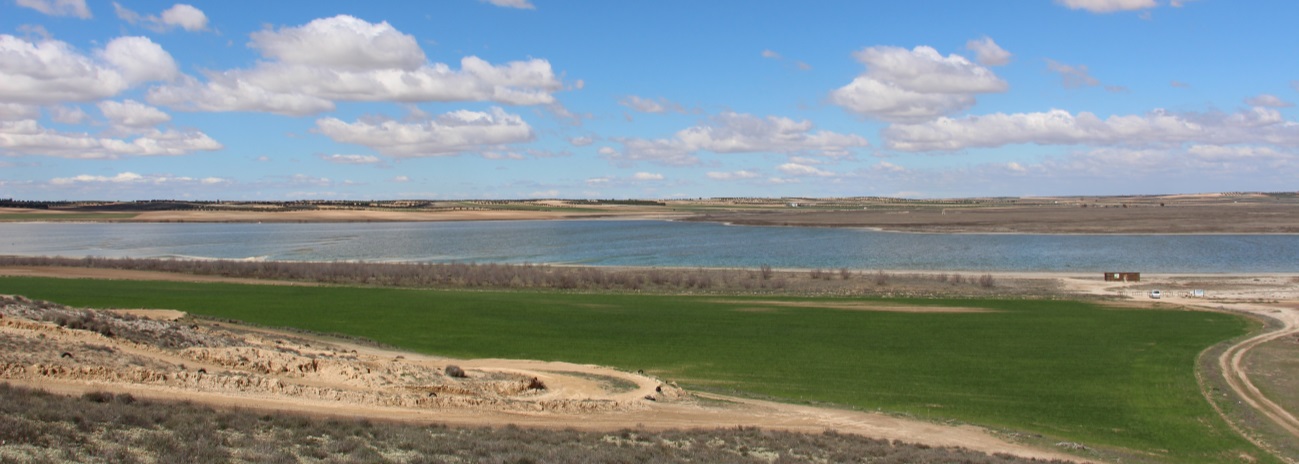 La Laguna del Longar