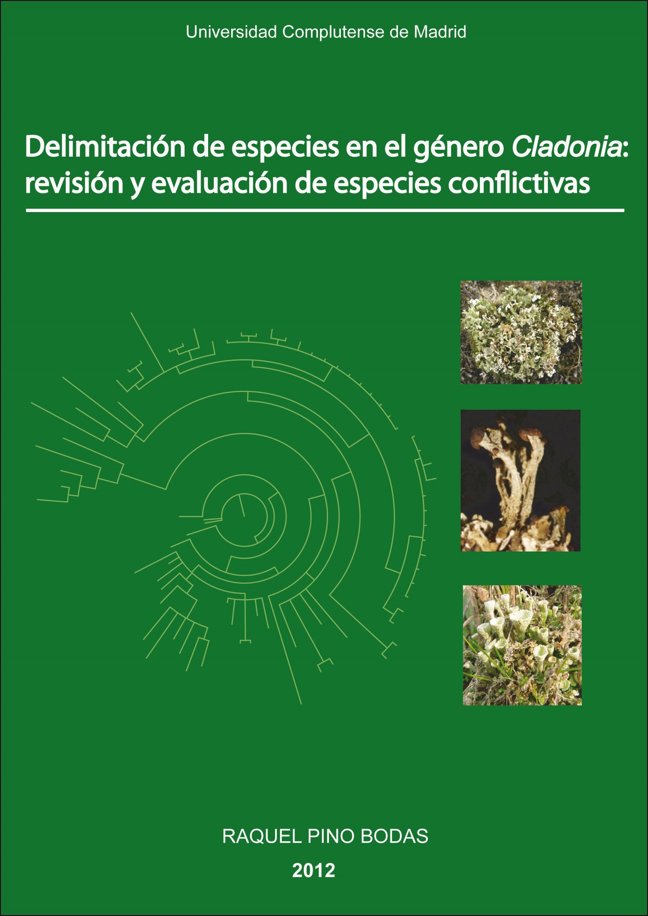 Portada de la Tesis Doctoral de Raquel Pino Bodas