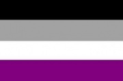 Bandera asexualidad