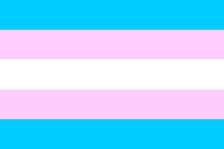 Bandera trans