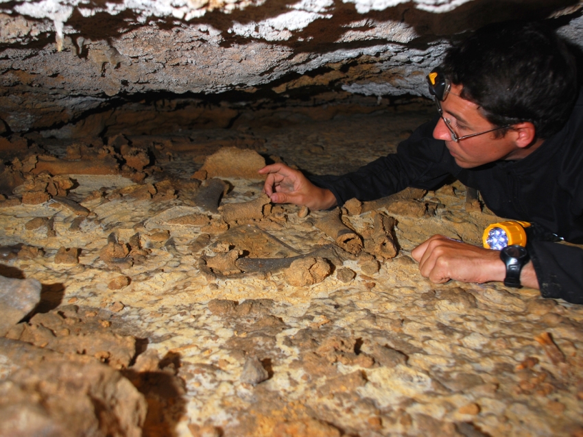 José Yravedra rodeado de fósiles en una cueva